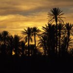 Dziedzictwo żydowskie w architekturze Maroka